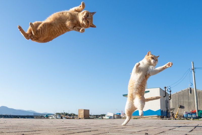 こんばんは!